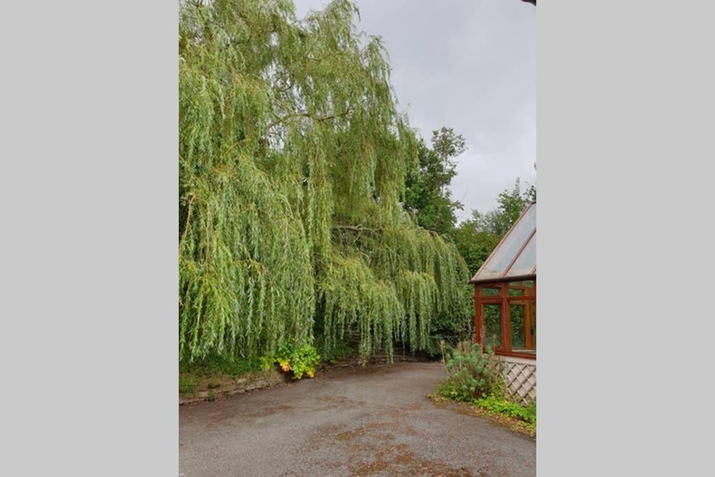 Willow Lodge Abergavenny Extérieur photo